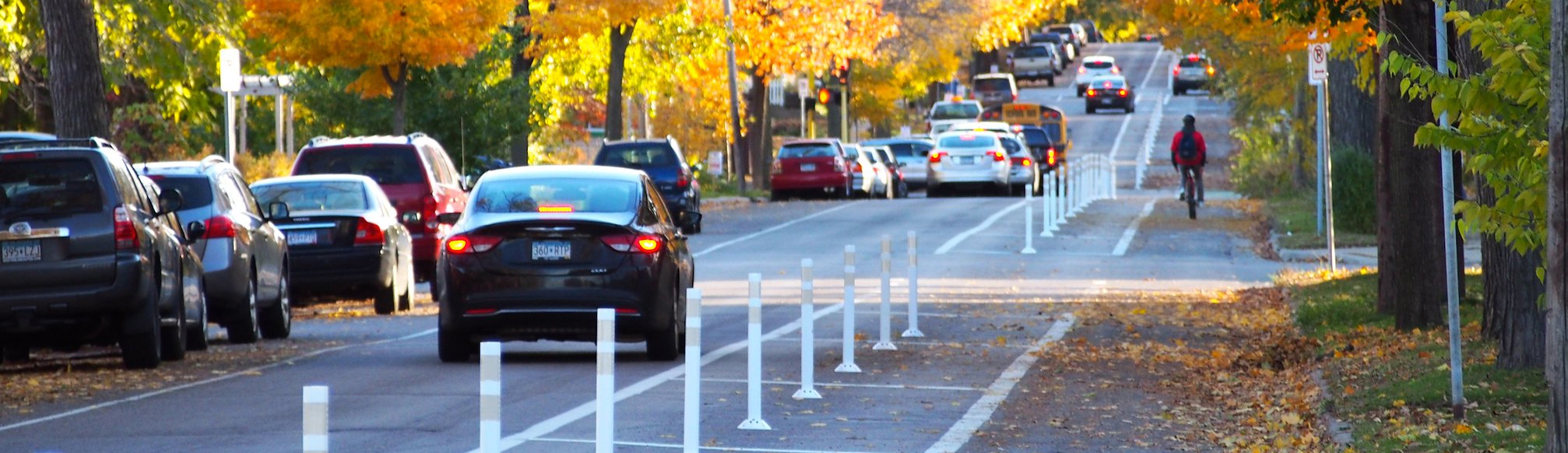 Delineator Protected Bikelane